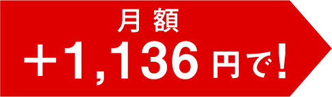 月額 + 1,136円で!